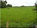 Cloyfin Townland