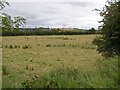 Lismurphy Townland