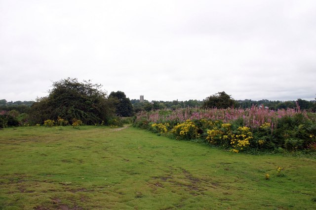 Bullock Hills, Pudding Norton (2)