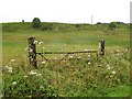 Overgrown gateway, Barfad