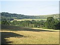 South Downs above Barns Farm, viewed from the field north of Claytons Farm on A283 and west of Georges Lane