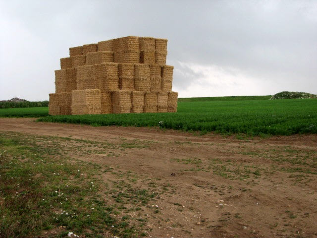 Bigger stacks. Square Bales. Haystack Square. Square hay Bales. Large Square Bales of Straw.