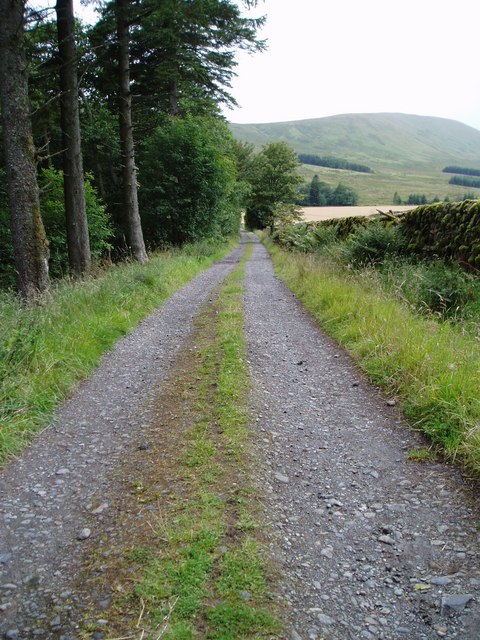 Track leading to Holm of Dalquhairn.