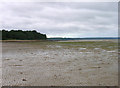 Ryde West Sands