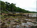 Boathouse near Binstead Hard