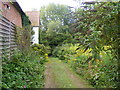 Bridleway becomes footpath to Thame