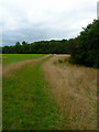 Footpath to Kemphill Moor Copse