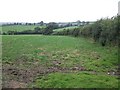 Fields near Tremollett