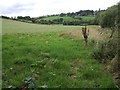 Fields near Frogmore Farm