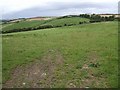 Fields near Tredudwell