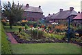 garden, 42 Ferguson Avenue