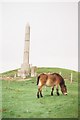 SZ0281 : Ulwell: monument to waterworks by Chris Downer