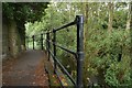 Towpath and canal near Scarva