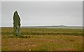 HY5216 : Mor Stein Standing Stone, Shapinsay, Orkney Islands by C Michael Hogan