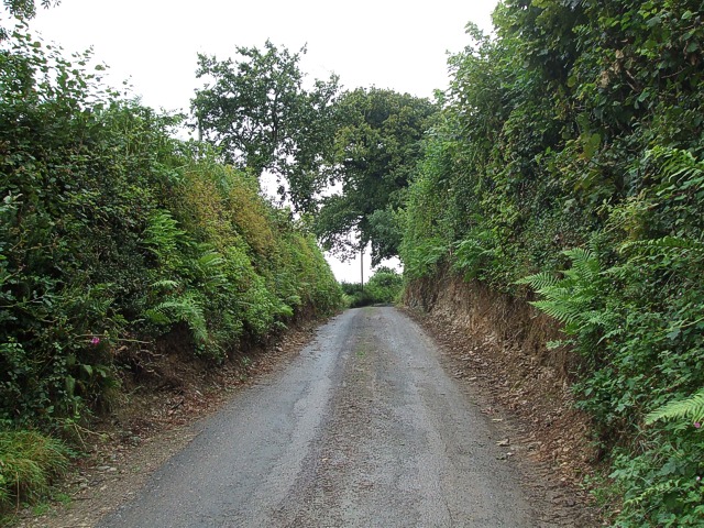 Lane from Appledore
