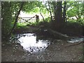 Footbridge over tributary of River Lynher