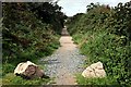 Bridleway near Lanner