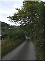 Track leading from the Llanidloes to Glan-y-nant road, down to the River Severn