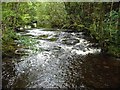 Looking upstream from the footbridge over the Severn