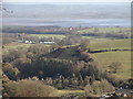 Viney Hill to Hagloe House, River Severn and Slimbridge