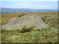 SE1146 : The Badger Stone by John Illingworth