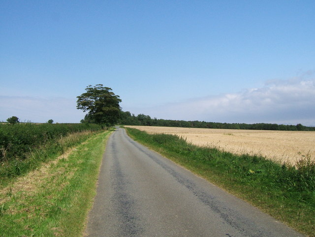Looking North From Stamford House to Hameringham Top
