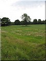 Farmland near Northend Farm