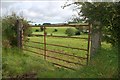 Gate near Larne