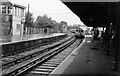 Shanklin Station, August 1974