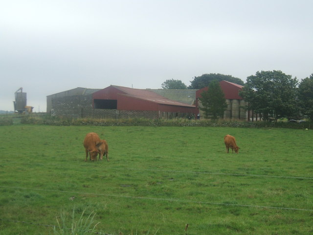 Mains of Dumbreck Farm