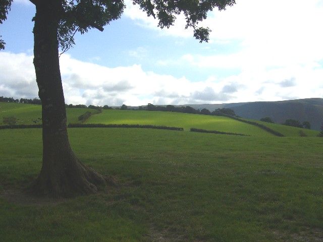 Fields to the E of Cefn farm
