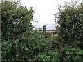 Stile & footpath near Bathpool