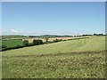SX1655 : Farmland to the North by Richard Williams