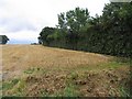 Fields off B1051 near Pledgdon Green