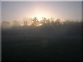 Dawn at Teston Bridge