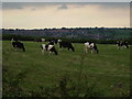 Farmland at Woodlinkin