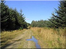 NT7409 : Forestry road at Fawhope Rig in Leithope Forest by Walter Baxter