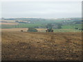 Ploughing at Coburty