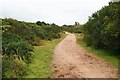 Path across Newton Moor