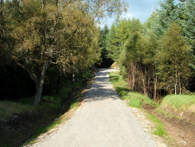 Forestry Track