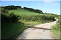 Ford on the Severn Way, Powys