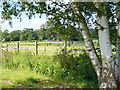 Radnor Place Farm from the South-east