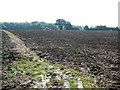 Ploughed Fields