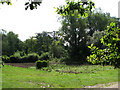 Allotments near Craft Lane