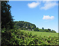 Hillside grazing land under East Dean