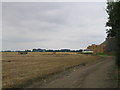 Fields at Crabtree Farm