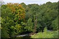 The River Bann at Ballievey near Banbridge (3)