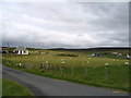 Farmland at Wethersta