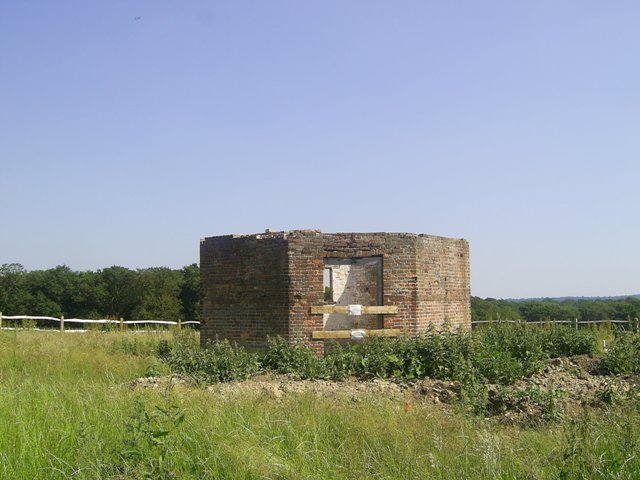Elmers Mill Ruin