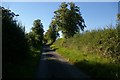 Track and tree